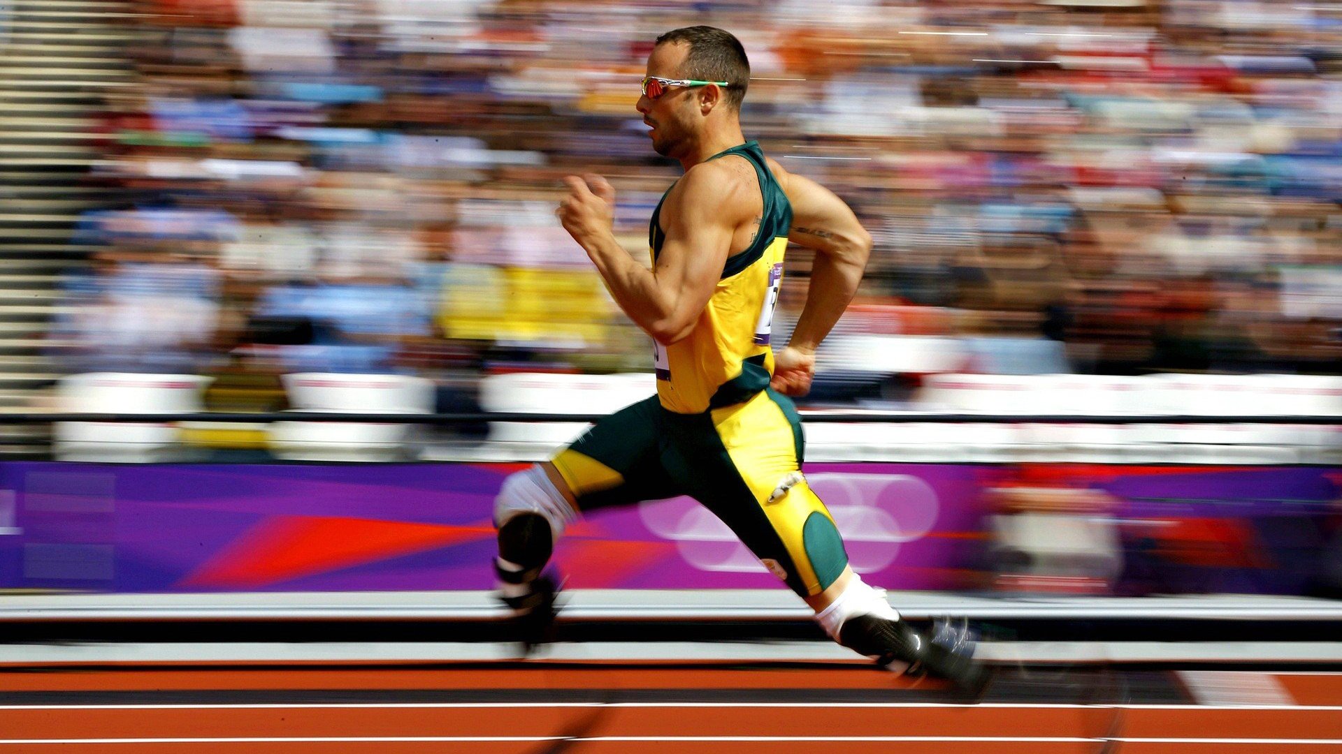 开云真人体育娱乐-_北极探险赛：冰天雪地中的极限运动_，北极探险视频